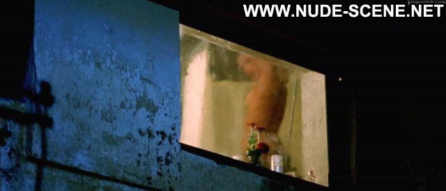 Maiwenn Le Besco Nude Sexy Scene High Tension Voyeur Shower